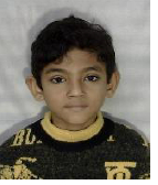 The Future of Farming in Bihar: Innovations and Opportunities